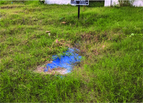 Image of ইমরান হাসান